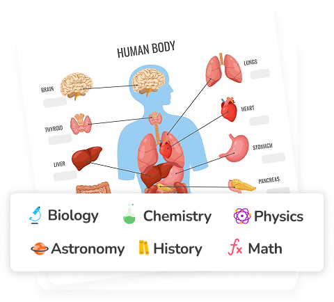 Flashcards